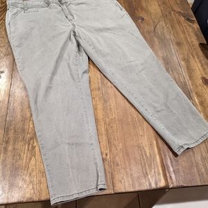 Lane Bryant boyfriend pant
